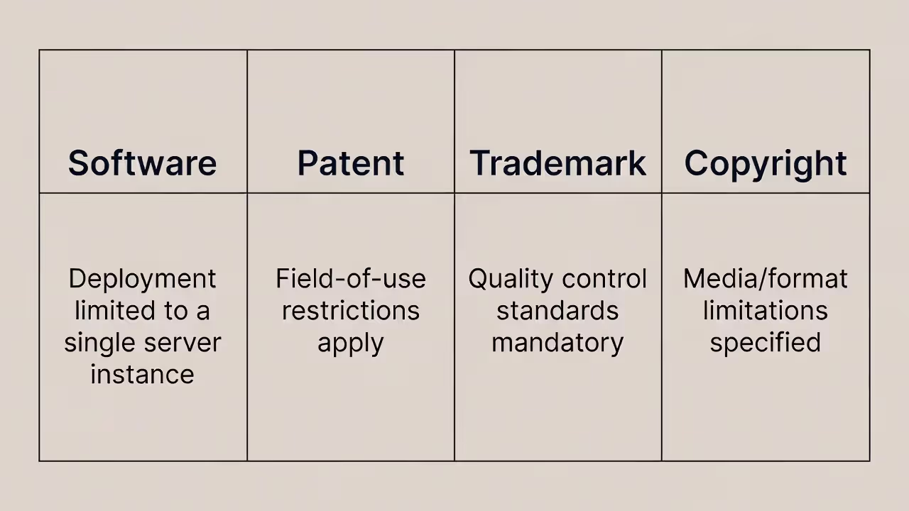 Panel comparing key focus areas for software, patent, trademark, and copyright licenses